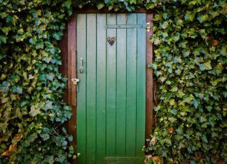 La puerta