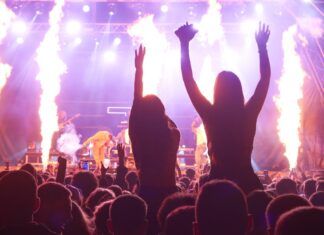 Fui a un concierto
