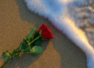 Silencio de amor
